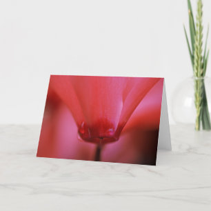Cartão Pink Hot Greeting Card
