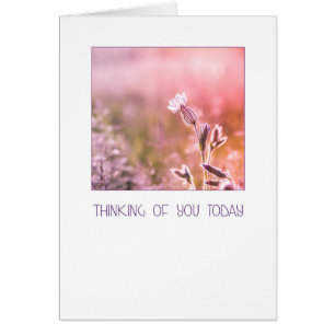 Cartão Pink Light Campion Wildflower Pensando em você