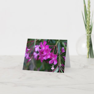 Cartão Pink Oleander Shadow Fairy