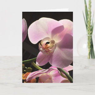 Cartão Pink Orchid Blank Inside Card