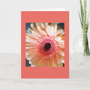 Cartão Pink Peach Daisy Flower Blank inside Note Card