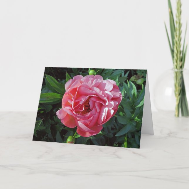 Cartão Pink Peony (Frente)