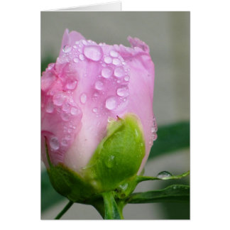Cartão Pink Peony