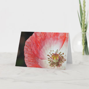 Cartão Pink Poppy Birthday