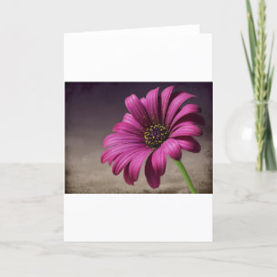 Cartão Pink Purple Vines Flowers Blossoms Love Peace Art