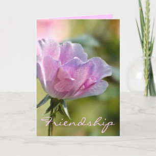 Cartão Pink Rose Friendship Card