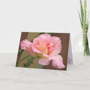 Cartão Pink Rose Greeting Card