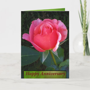 Cartão Pink Rose Happy Anniversary