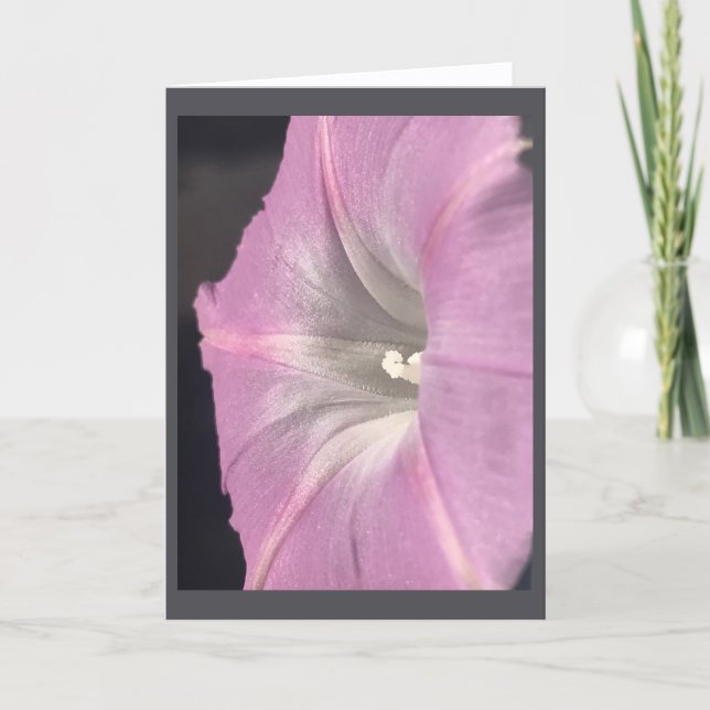 Cartão Pink-Satin Morning Glory Blank (Frente)