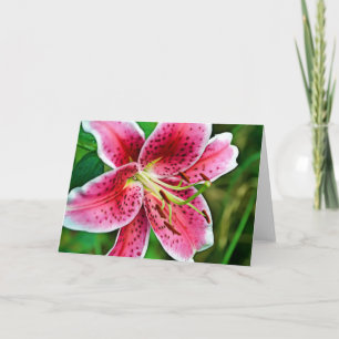 Cartão Pink Stargazer Lily Blank Card