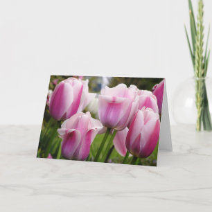 Cartão Pink Tulips card