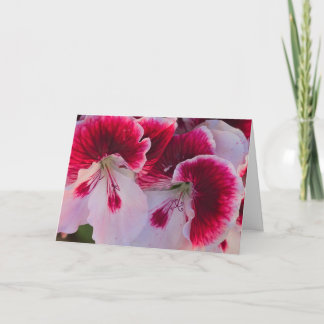 Cartão Pink & White Flowers Blank Notecard