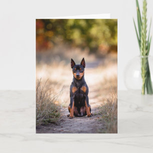 Cartão Pinscher Miniatura Sentado