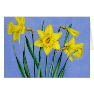 Cartão pintado amarelo da arte dos Daffodils da