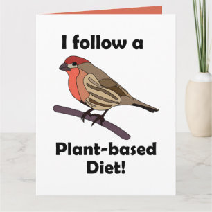 Cartão Pintassilgo Sigo Dieta à Base de Plantas Pássaro E