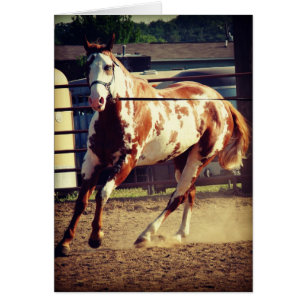 Cartão Pinte o cavalo