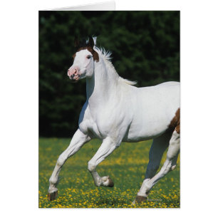 Cartão Pinte o cavalo que funciona no campo gramíneo