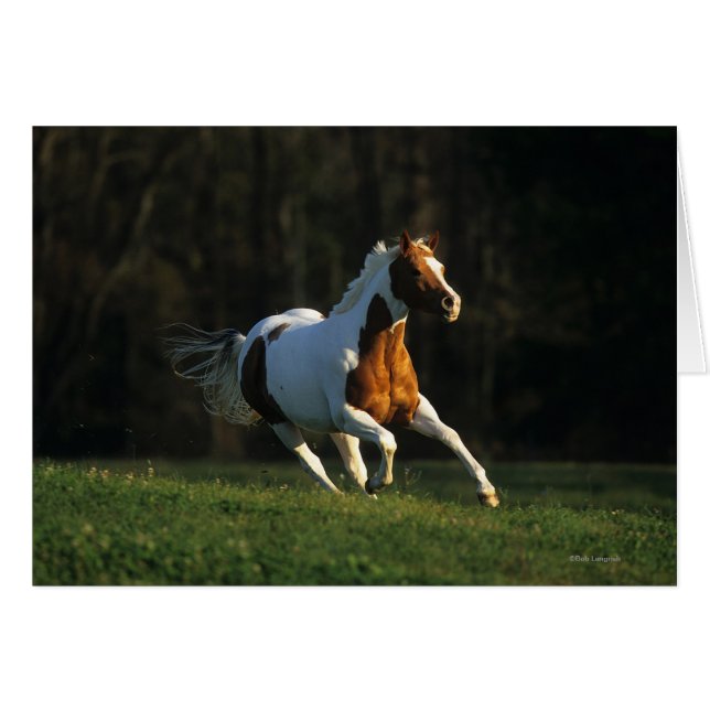 Cartão Pinte o cavalo que funciona rapidamente (Frente Horizontal)