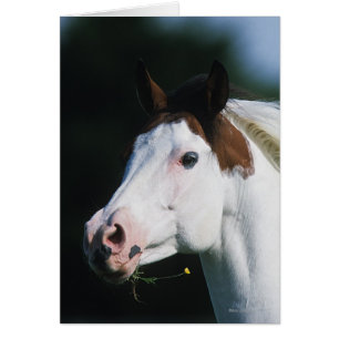 Cartão Pinte o Headshot 3 do cavalo