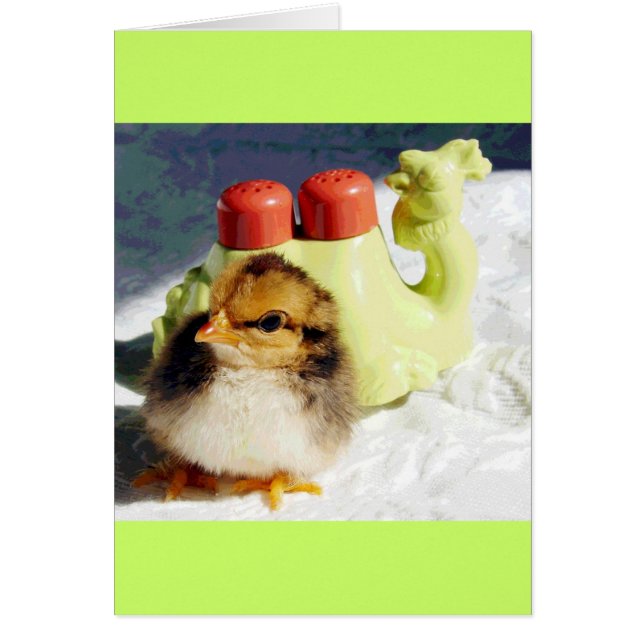 Cartão Pintinho e Camelo (Frente)