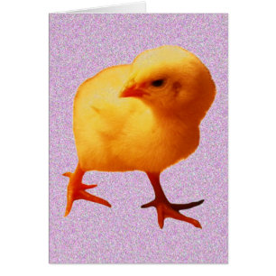 Cartão Pintinho Em Movimento