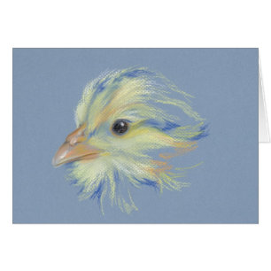 Cartão Pintinho Plymouth Barred Rock