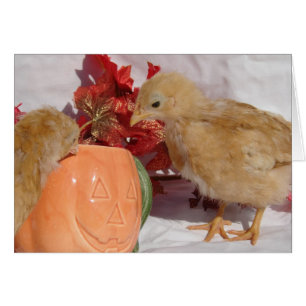 Cartão Pintinhos de queda