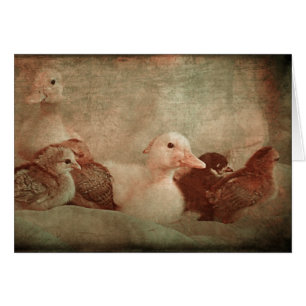 Cartão Pintinhos e Ducklings