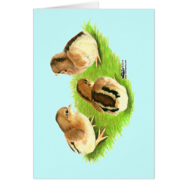 Cartão Pintinhos vermelhos pretos de Aseel (Frente)