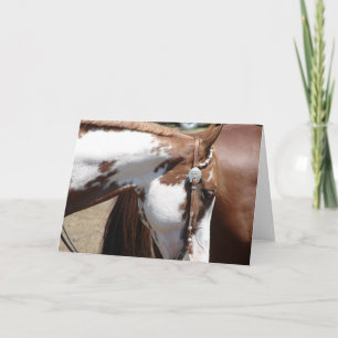 Cartão Pinto Cavalo Ocidental