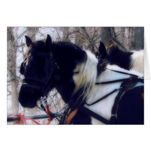 Cartão Pinto Cavalos de Rascunho