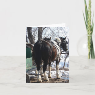 Cartão Pinto Cavalos de Rascunho