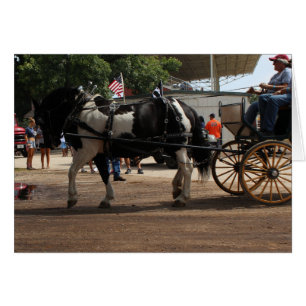 Cartão Pinto Draft Horse 2018 Mt. Pleasant, Iowa