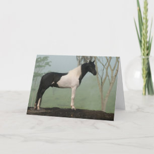 Cartão Pinto Horse