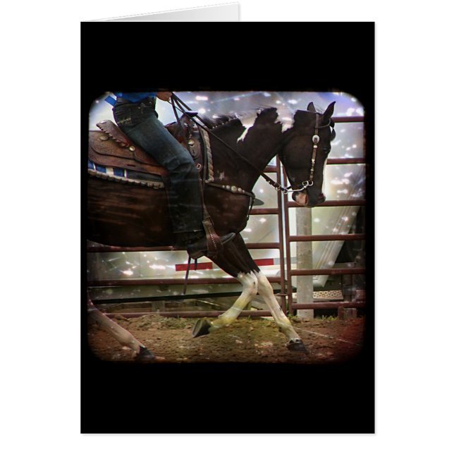 Cartão Pinto Ocidental (Frente)