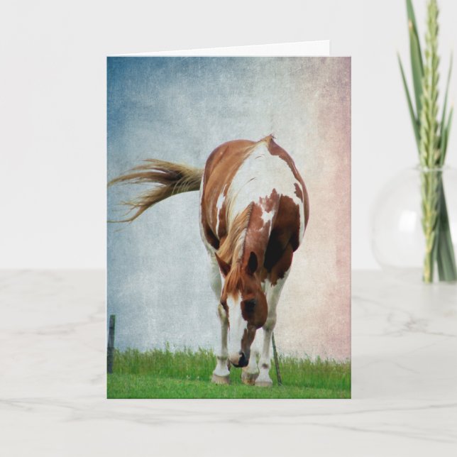 Cartão Pintopferd, Alles Gute Zum Geburtstag (Frente)