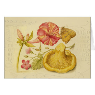 Cartão Pintor de Flores de Borboleta Flor de Borboleta