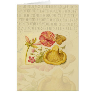 Cartão Pintor de Flores de Borboleta Flor de Borboleta