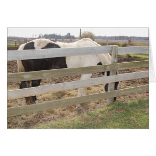 Cartão Pintor/Pinto