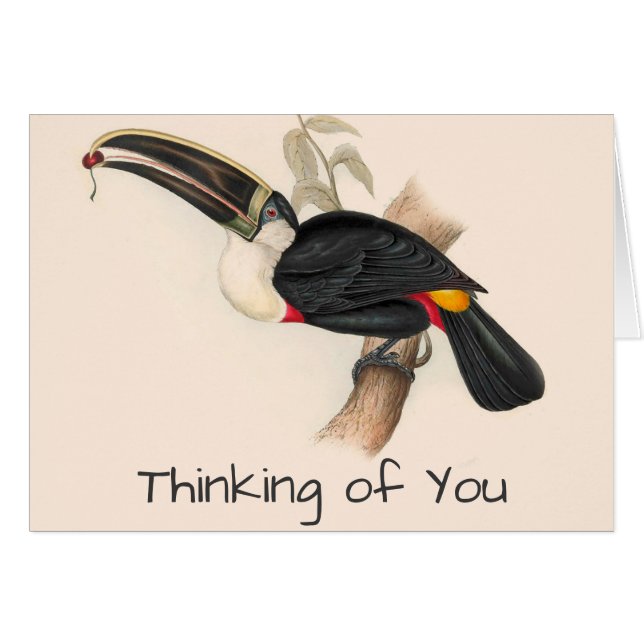 Cartão Pintura Antiquada de Pássaros Toucanos (Frente Horizontal)