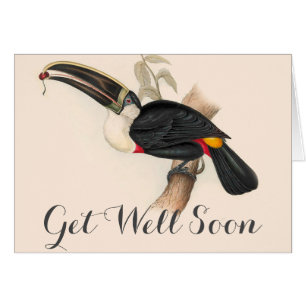 Cartão Pintura Antiquada de Pássaros Toucanos