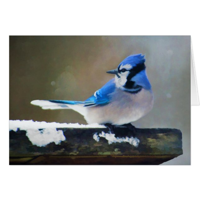 Cartão Pintura Blue Jay - Arte Original para Pássaros (Frente Horizontal)