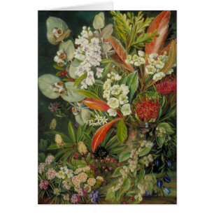 Cartão Pintura botânica norte de Marianne