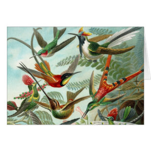 Cartão pintura clássica da fauna selvagem de beija-flor