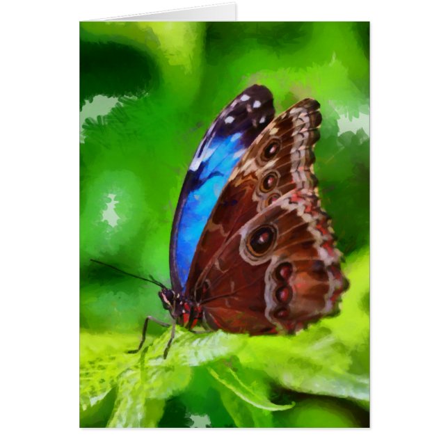 Cartão Pintura da borboleta (Frente)