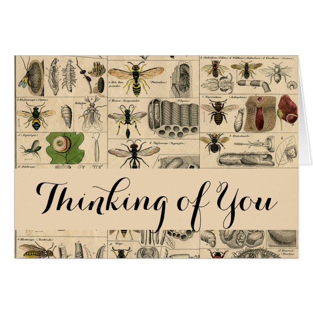 Cartão Pintura De Abelhas Insetos Insetos Vaza Natureza N (Frente Horizontal)