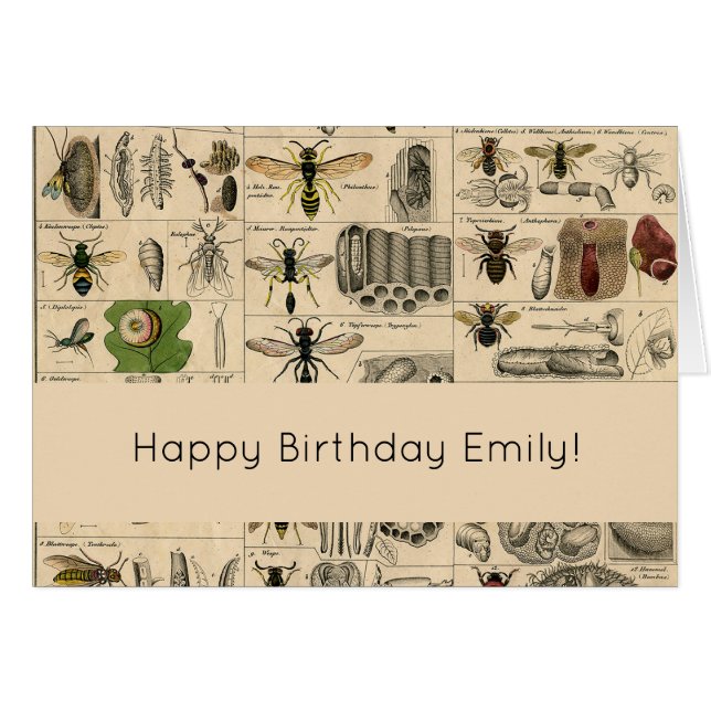 Cartão Pintura De Abelhas Insetos Insetos Vaza Natureza N (Frente Horizontal)