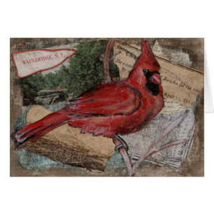 Cartão Pintura de aves Cardinal