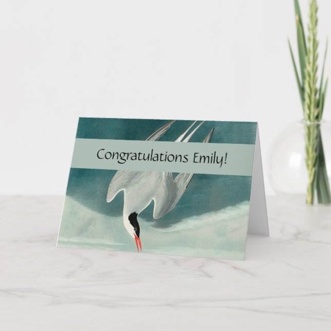 Cartão Pintura de aves selvagens do Ártico Tern Audubon (Frente)