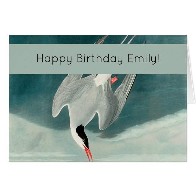 Cartão Pintura de aves selvagens do Ártico Tern Audubon (Frente Horizontal)